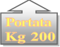 portata scaffale 200 Kg